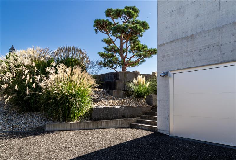 SwissHomeguard developer integration